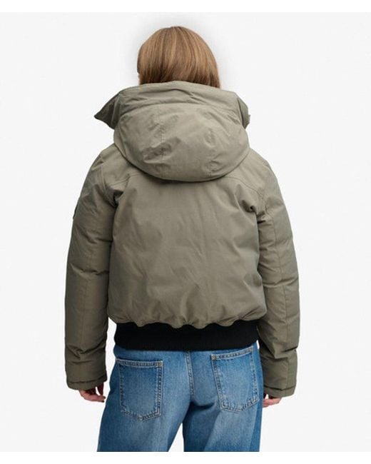 Superdry Gray & Co City Padded Bomber Jacket