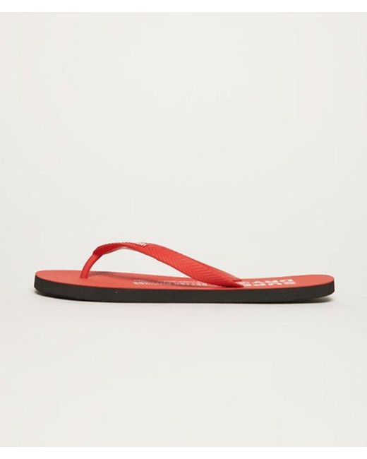 Superdry Studios Flip Flops Red for men