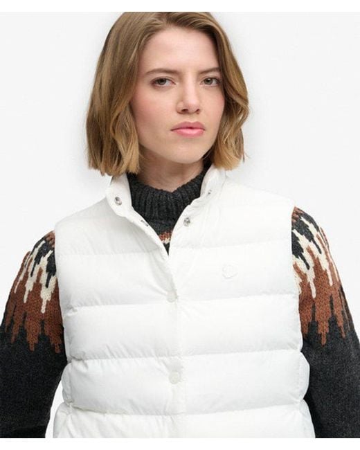 Superdry Blue & Co Padded Snap Gilet