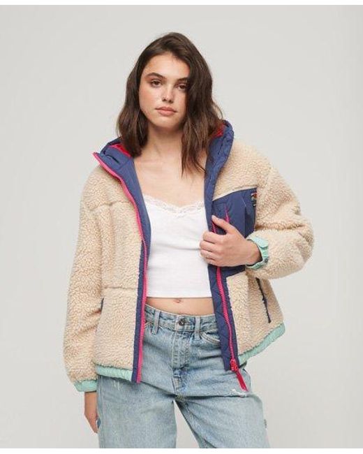 Superdry Blue Hooded Sherpa Jacket Cream