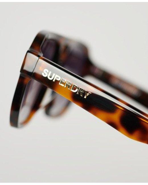 Superdry Brown Sdr 70s Aviator Sunglasses for men