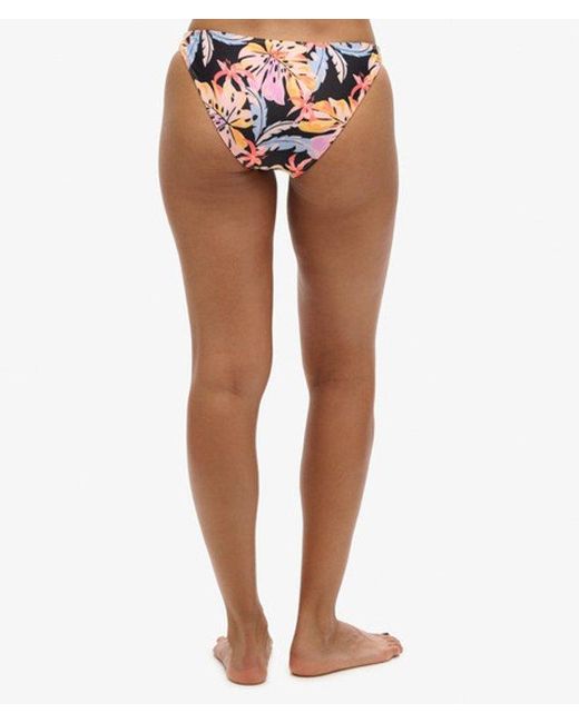 Superdry Pink & Co Ladies Classic Printed Bikini Briefs