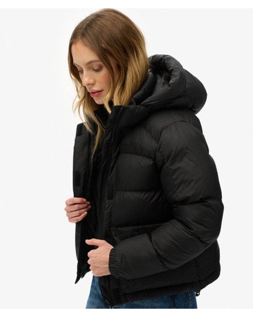 Superdry Black & Co