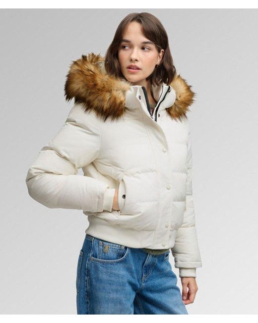 Superdry Gray & Co Everest Hooded Bomber Jacket