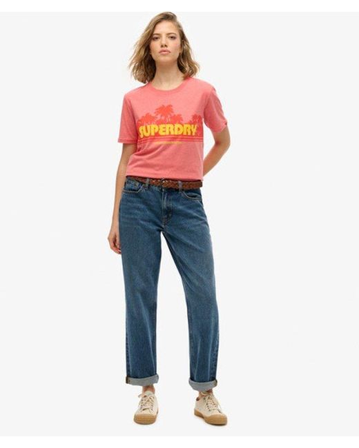 Superdry Red & Co Outdoor Stripe Relaxed T-shirt