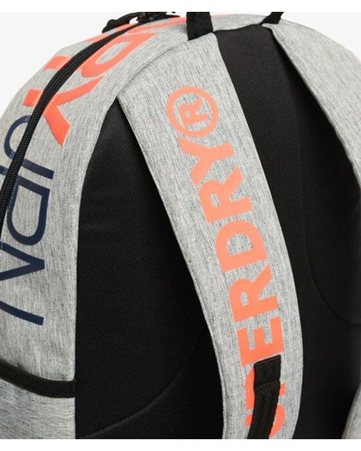 Superdry Gray & Co Logo Windyachter Montana Rucksack