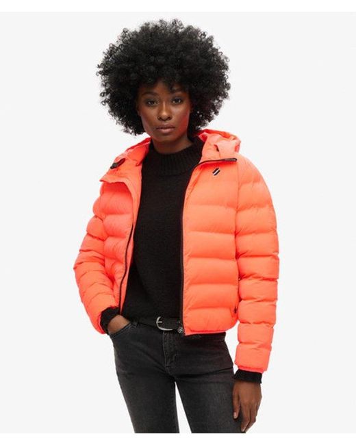 Superdry Orange & Co All Seasons Padded Jacket