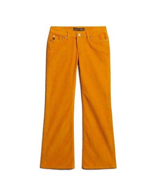 Superdry Orange Low Rise Cord Flare Jeans