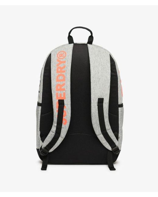 Superdry Gray & Co Logo Windyachter Montana Rucksack
