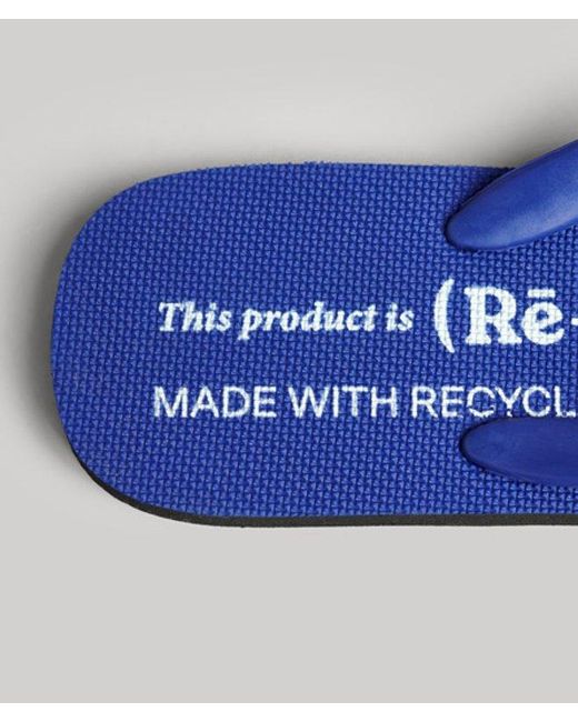 Superdry Blue Studios Flip Flops for men