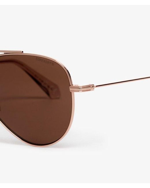 Superdry Brown & Co Classic Aviator Sunglasses