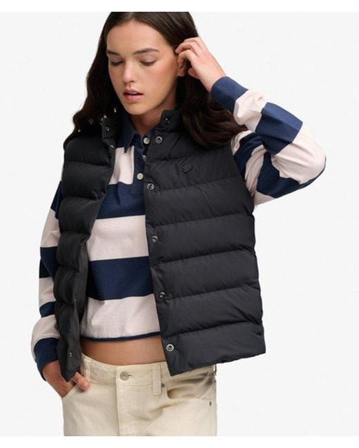 Superdry Blue Padded Snap Gilet