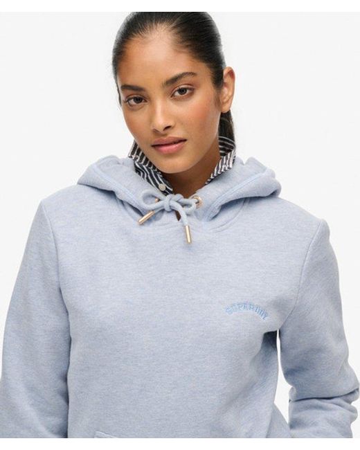 Superdry Blue & Co Essential Logo Embroidered Hoodie