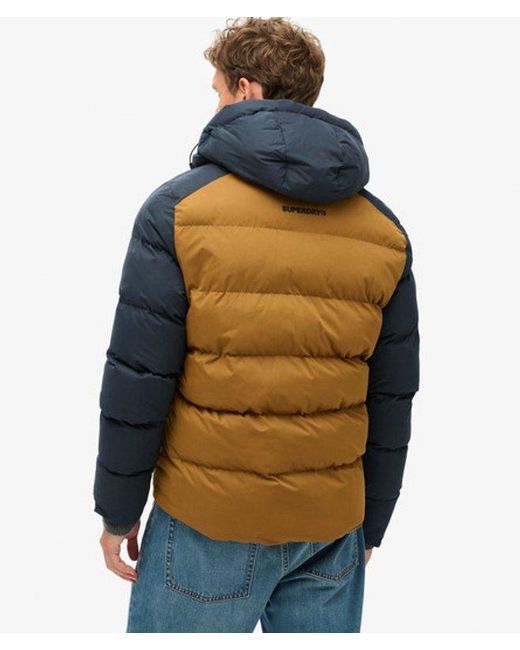 Superdry Blue Color-Block Hooded Puffer Jacket for men