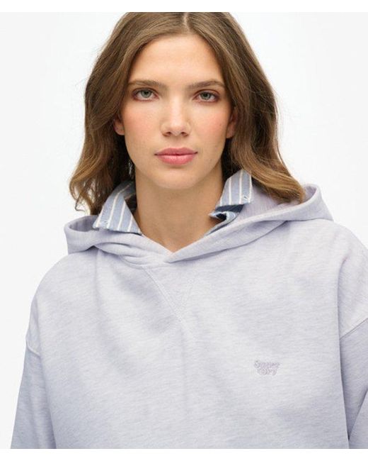 Superdry Gray Studios Hoodie