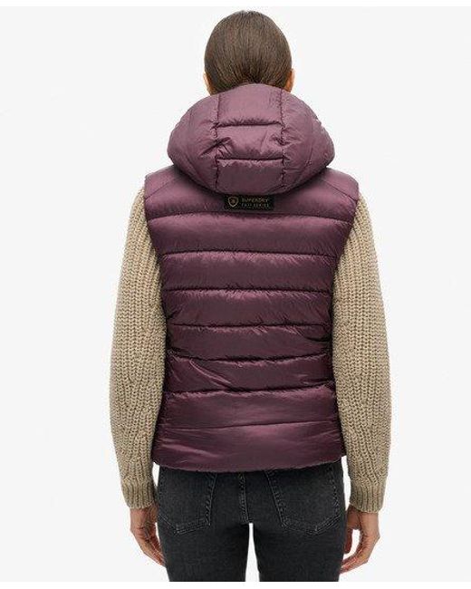 Superdry Gewatteerde Fuji Bodywarmer Met Capuchon in het Purple