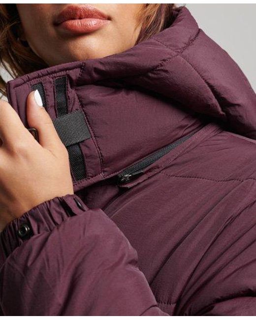 Superdry Purple Expedition Cocoon Padded Coat