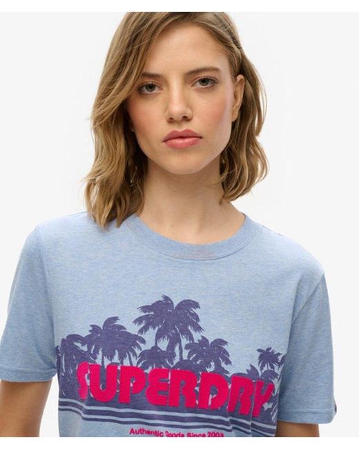 Superdry Blue & Co Outdoor Stripe Relaxed T-shirt