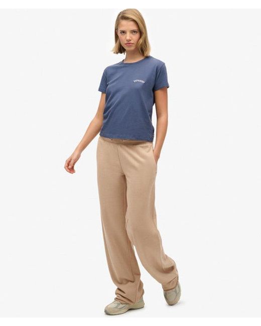 Superdry Brown & Co Studios joggers