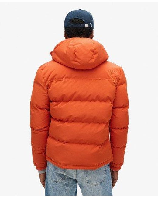 Superdry Korte Everest Pufferjas Met Capuchon in het Orange voor heren