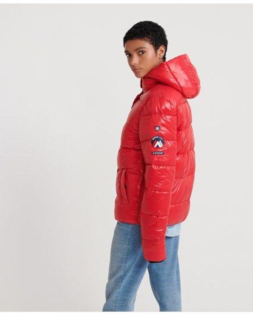 super dry red jacket