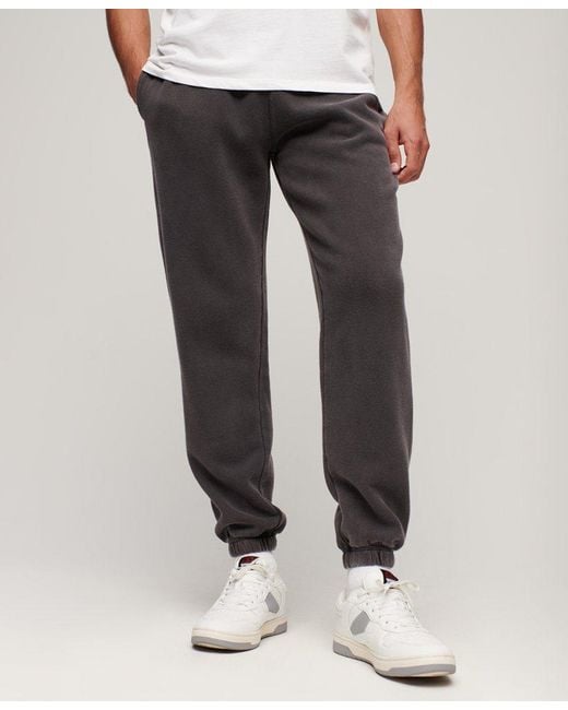Superdry fives straight jogger sale
