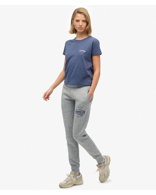 Superdry Blue & Co Premium Script Entry joggers