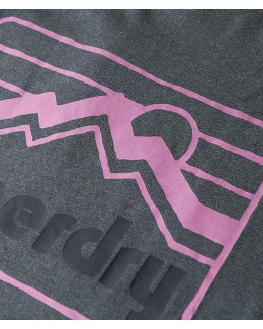 Superdry Gray & Co 90s Terrain Graphic T-shirt for men