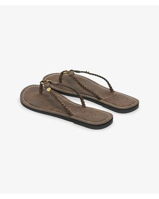 Superdry Brown & Co Faux Leather Braided Flip Flops