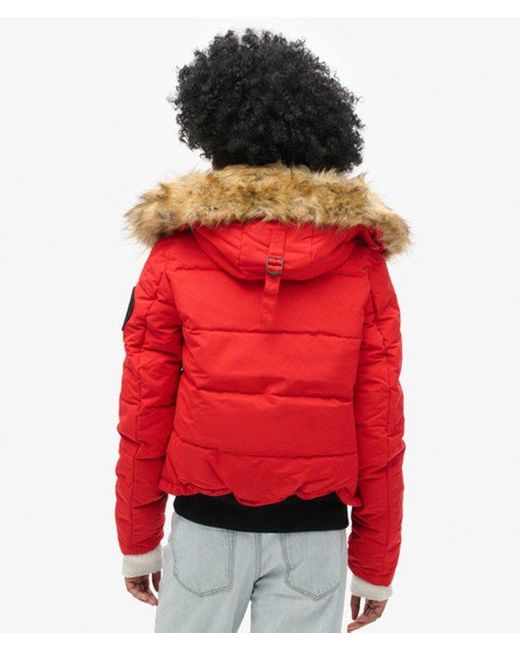 Superdry Red & Co Everest Bomber Jacket