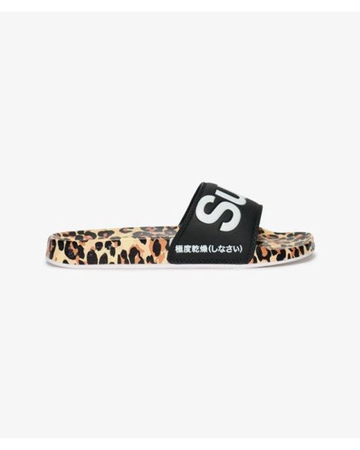Superdry Brown & Co Beach Sliders