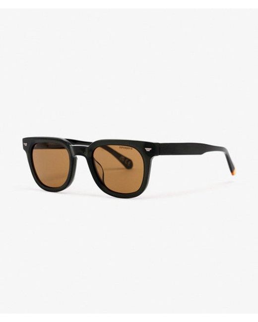 Superdry Brown & Co Retro Square Sunglasses
