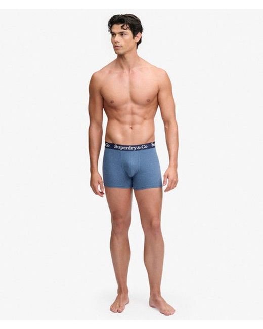 Superdry Blue & Co Trunk Triple Pack for men