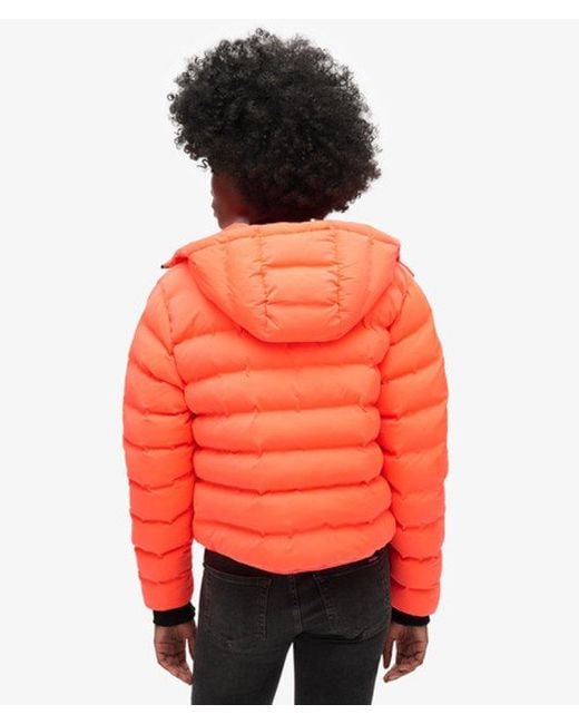 Superdry Red & Co All Seasons Padded Jacket