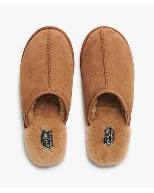 Superdry Brown & Co Mule Slipper for men