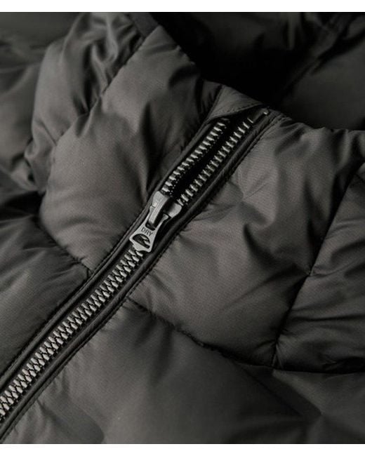 Superdry Black & Co Hooded Quilted Puffer Coat for men