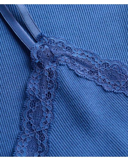 Superdry Blue & Co Essential Lace Trim Cami Top