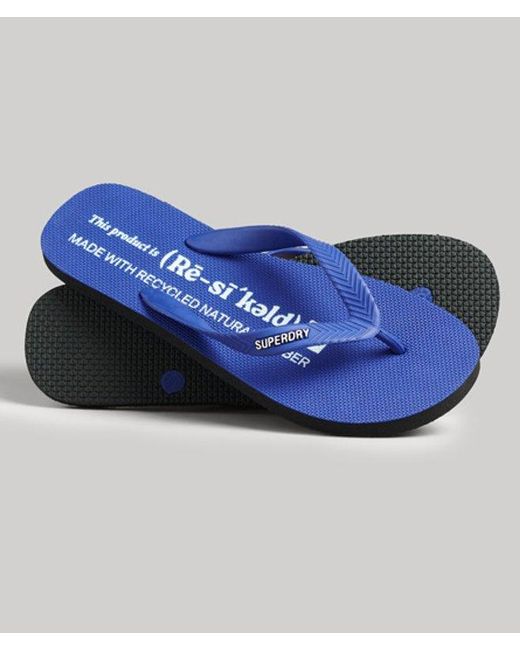Superdry Blue Studios Flip Flops for men