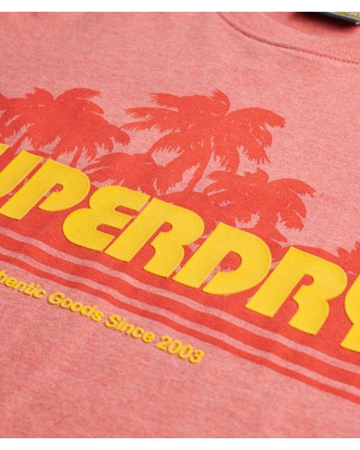 Superdry Red & Co Outdoor Stripe Relaxed T-shirt