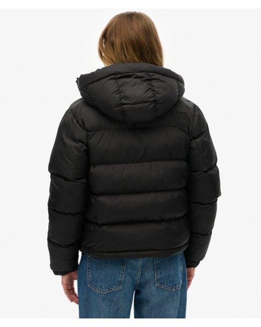 Superdry Black & Co