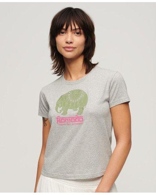 Superdry X Komodo Hathi T-shirt in het Gray