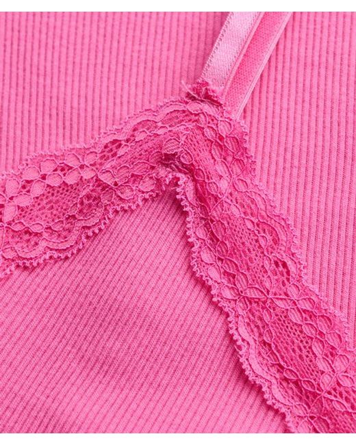 Superdry Pink & Co Essential Lace Trim Cropped Cami Top