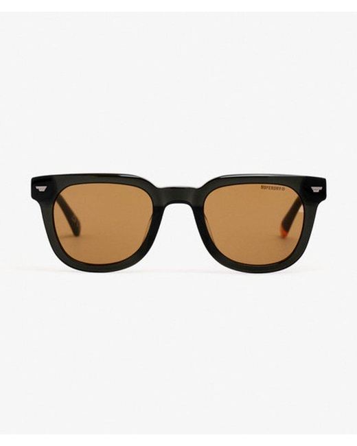 Superdry Brown & Co Retro Square Sunglasses