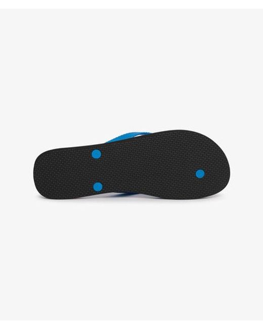 Superdry Blue & Co Core Essential Flip Flops for men
