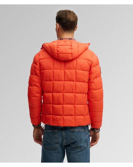 Superdry Red & Co Hooded Box Quilt Fuji Lite Jacket for men