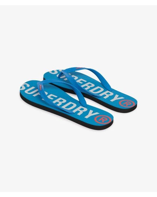 Superdry Blue & Co Core Essential Flip Flops for men
