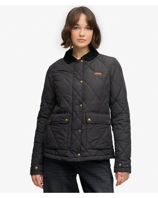 Superdry Black & Co Cord Trimmed Liner Jacket
