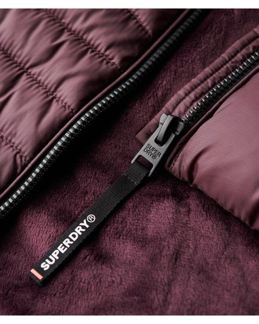 Femme Doudoune Sans Manches À Capuche Fuji Taille Superdry en coloris Purple