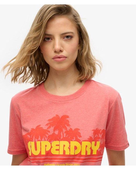 Superdry Red & Co Outdoor Stripe Relaxed T-shirt