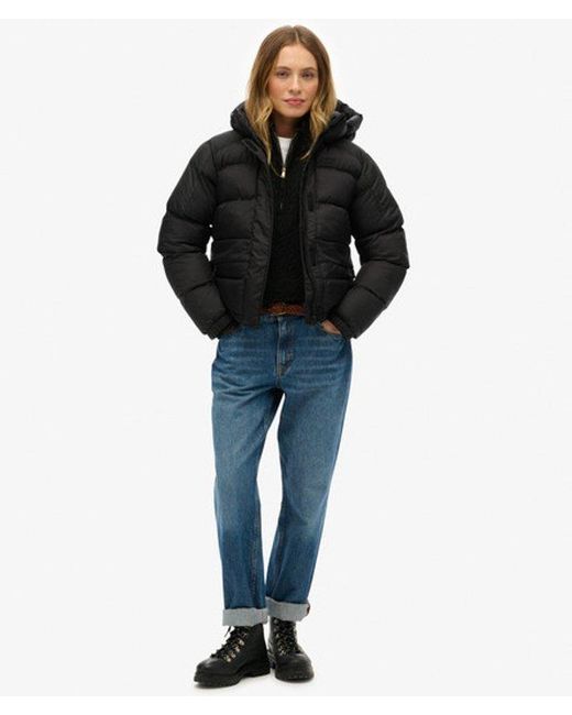 Superdry Black & Co